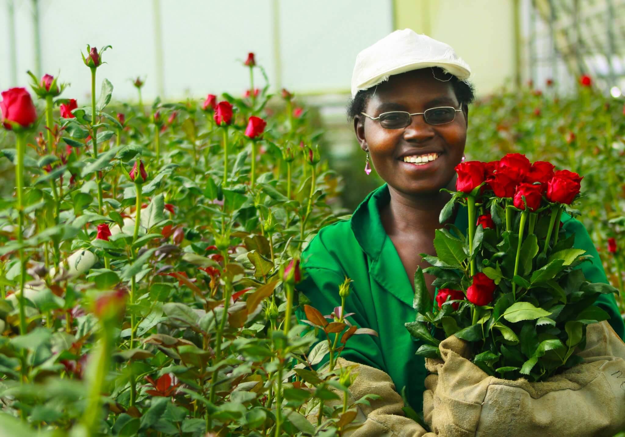 A photo of a lady holding roses